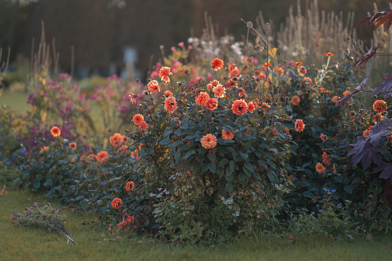 Mooi verlichte planten en struiken in de avond.