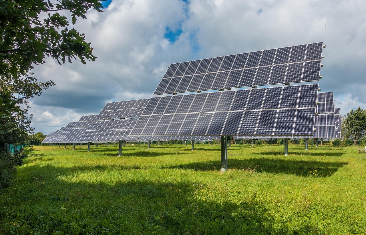 Elektrische auto opladen naast bloeiende tulpen.